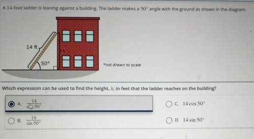A 14-foot ladder is leaning agsinst a building. The ladder makes a 50 angle with the ground as show