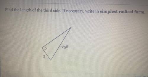 I have a quiz I need help with this one please