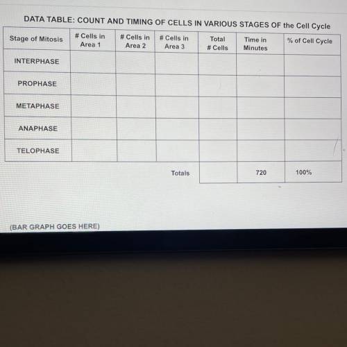 DATA TABLE: COUNT AND TIMING OF CELLS IN VARIOUS STAGES OF the Cell Cycle