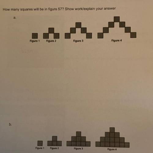 Explain and help find the answer thank you
