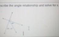 Describe the angle relationship and solve for x.  ​