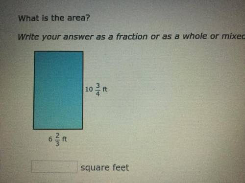 What is the area? Write the answer
