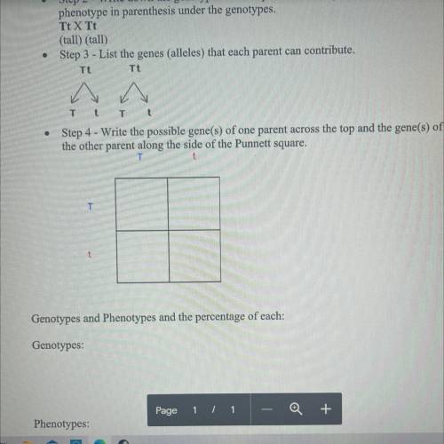 Can someone help me out with this? i need it done asap :(

(i also need help finding the percentag