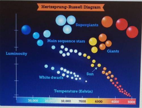 Our Sun will eventually turn into a red giant and, finally, a white dwarf. Use the Hertzsprung-Russ