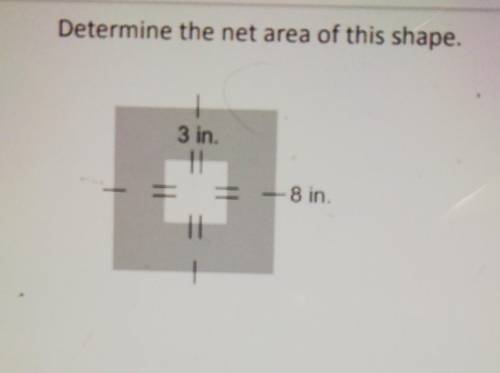 Plzz help

will give the brainest15 points Determine the net area of this shape.plzzzzx helpshow s