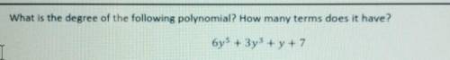 NO LINKS OR DOWNLOADSwhat is the following polynomial?How many terms does it have?​