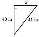 Find x in each triangle.