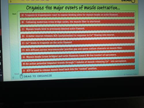 MUSCLE CONTRACTION help me please
