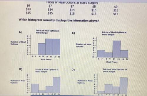 Which histogram correctly displays the information above