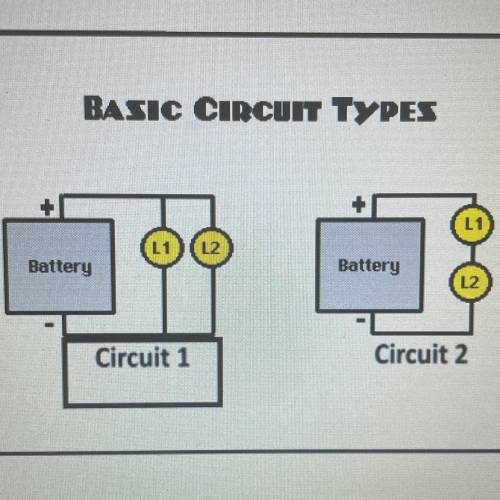 1. If a bulb burns out in circuit 1, what will happen to the other bulb in that circuit?

2. If a
