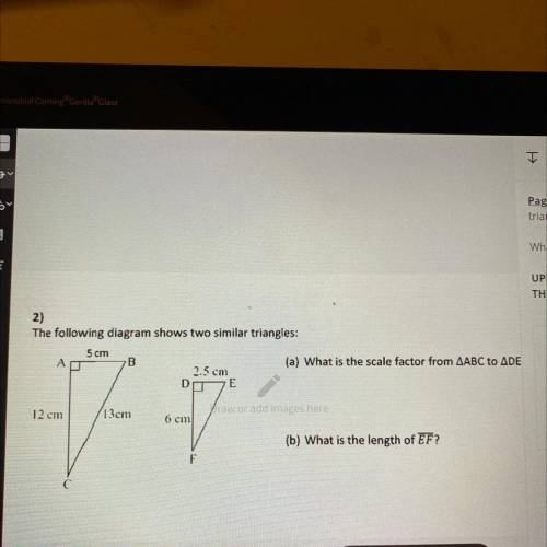 I don’t know the scale factor at all. Please help