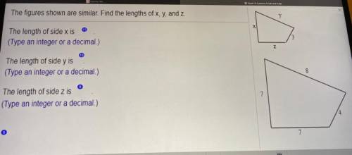 The figures shown are similar find the lengths of x,y and z.
geometry