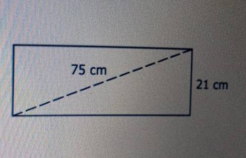 Using the Pythagorean Theorem, what is the area of the rectangle? Please help​