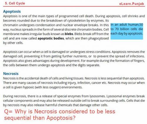 Why is Necrosis considered less sequential than Apoptosis?

Don't copy paste from the internet.
Ta
