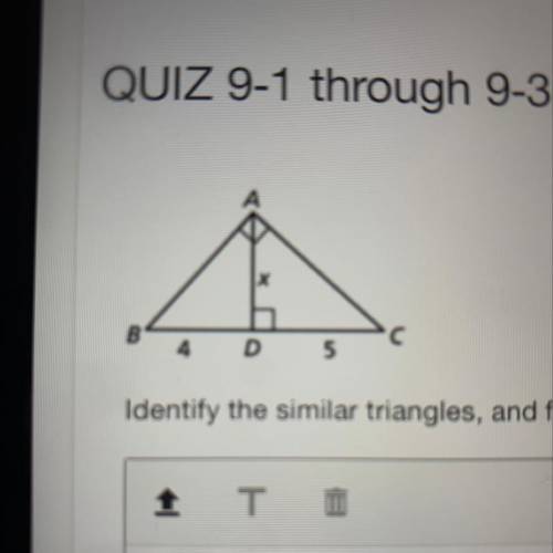 Identify the similar triangles and find the value of x.

PLEASE EXPLAIN YOUR ANSWER Giving brainli
