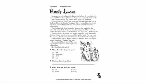 Rabbit laughs
Answer question 2?