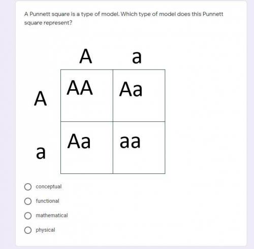 A Punnett square is a type of model. Which type of model does this Punnett square represent?

a)co