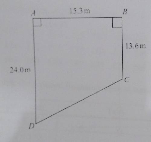 The diagram shows Maha's garden.

AB = 15.3 m.BC= 13.6m.AD = 24.0m.Find the perimeter of the garde