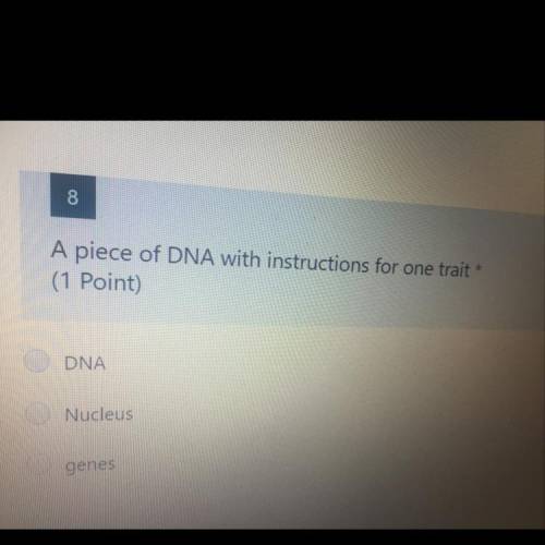 A piece of DNA with instructions for one trait..?