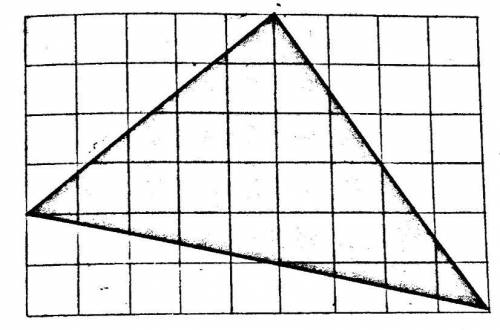 Calculate the area of triangle .