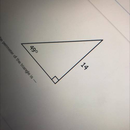 Rounded to the nearest whole number the perimeter of the triangle is ?????
