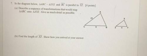 Hey do any of you guys know the answer to this? I’m struggling and I need help. Thanks!
