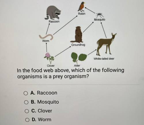 In the food web above, which of the following

organisms is a prey organism?
A. Raccoon
B. Mosquit