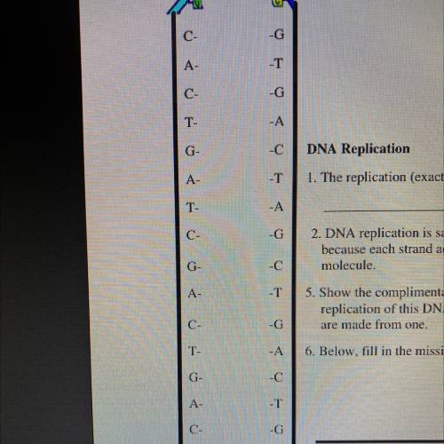5. Show the complimentary base pairing that would occur during

replication of this DNA molecule t