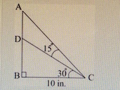 PLEASE HELP

The figure below shows a triangular wooden