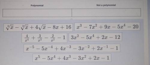 pls help!! Drag the expressions into the boxes to correctly complete the table polynomial not a pol