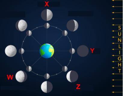 The diagram below shows the Earth, Sun, and Moon system.

From the diagram, which phase of the Moo