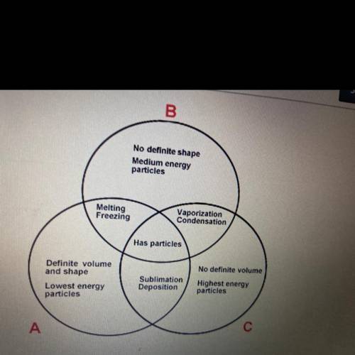 Based on the data presented in the Venn Diagram, circle B MOST LIKELY represents the

phase.
A)
ga