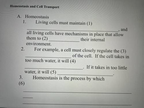 Can somebody answer these questions