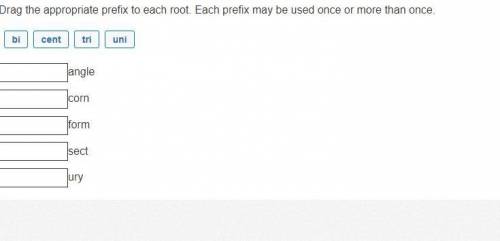Drag the appropriate prefix to each root. Each prefix may be used once or more than once.

bicentt