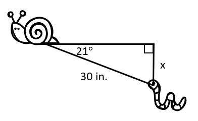 Find the value of x. Round to the nearest tenth.