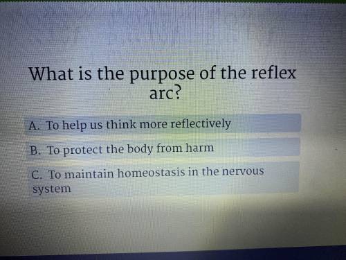 What is the purpose of the reflex arc