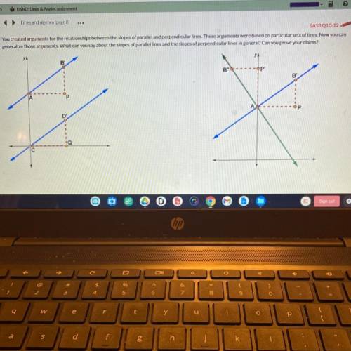 You created arguments for the relationships between the slopes of parallel and perpendicular lines.
