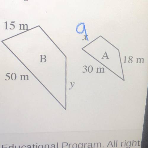What would y be? If x is 9 m