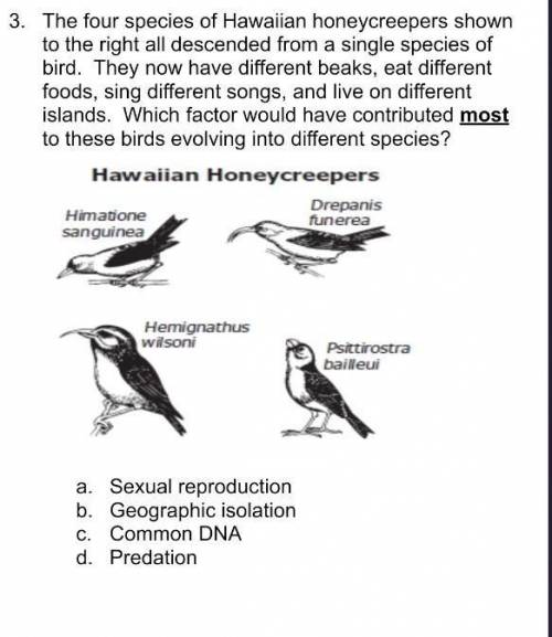 PLEASE HELP ME!! ^^^^^^

Sexual Reproduction Geographic isolation common DNApredation​