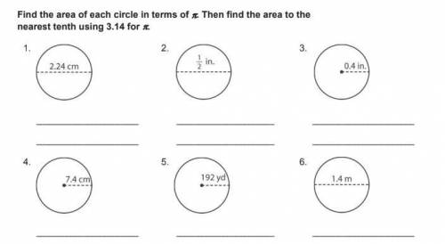 Please help with these answers