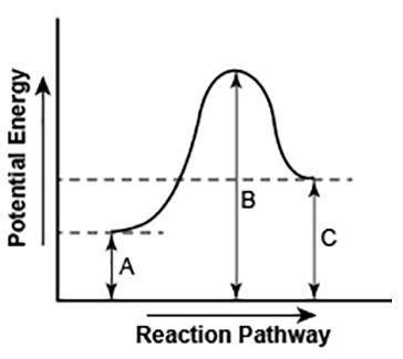 The diagram shows the potential energy changes for a reaction pathway. (8 points)

Part 1: Describ