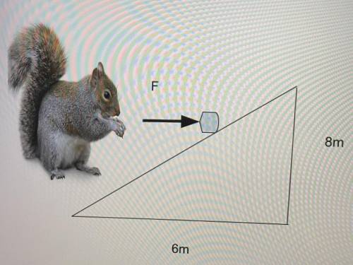 A squirrel pushes an 8N acorn all the way up an inclined plane. The squirrel applies a

horizontal