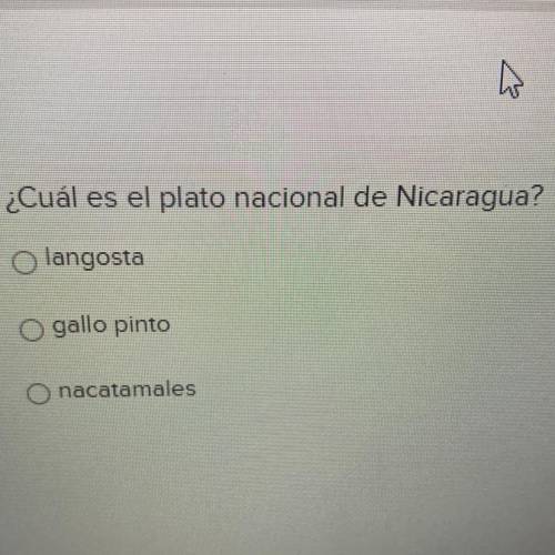 ¿Cuál es el plato nacional de Nicastagua?
langosta
gallo pinto 
nacatamales