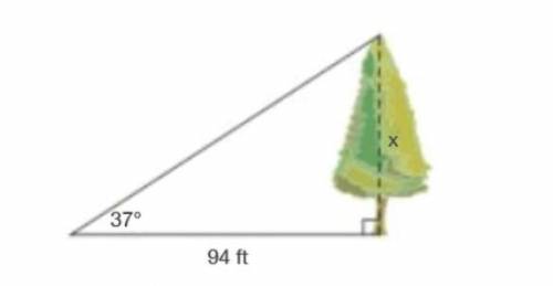 Find the height, x, of the tree. 20 points for this question

79.03 ft111.80 ft124.74 ft70.83 ft