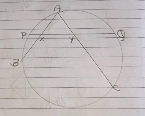 In the given figure if AX = AY then prove that P and Q are mid points of AB and AC respectively.