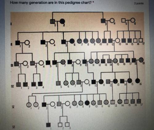 How many generations are in this pedigree chart?
A) 4
B) 5
C) 6
D) 7