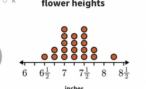 Janette measures the heights in inches of some of the flowers in her garden to see which ones are g