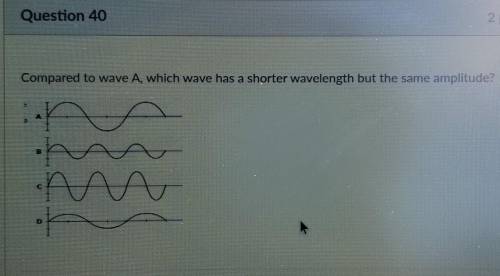 Compared to wave A, which wave has a shorter wavelength but the same amplitude?​