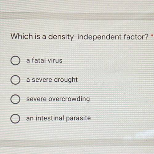 Which is a density-independent factor?