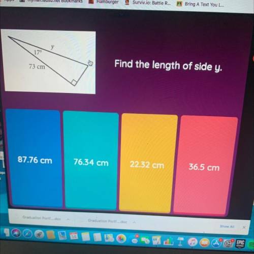 Find the length of y